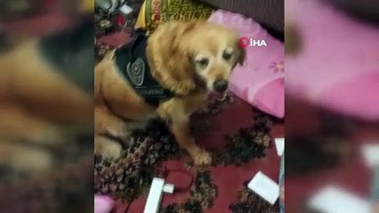 Çanakkale’de uyuşturucu operasyonu: 15 Afganistanlı gözaltında