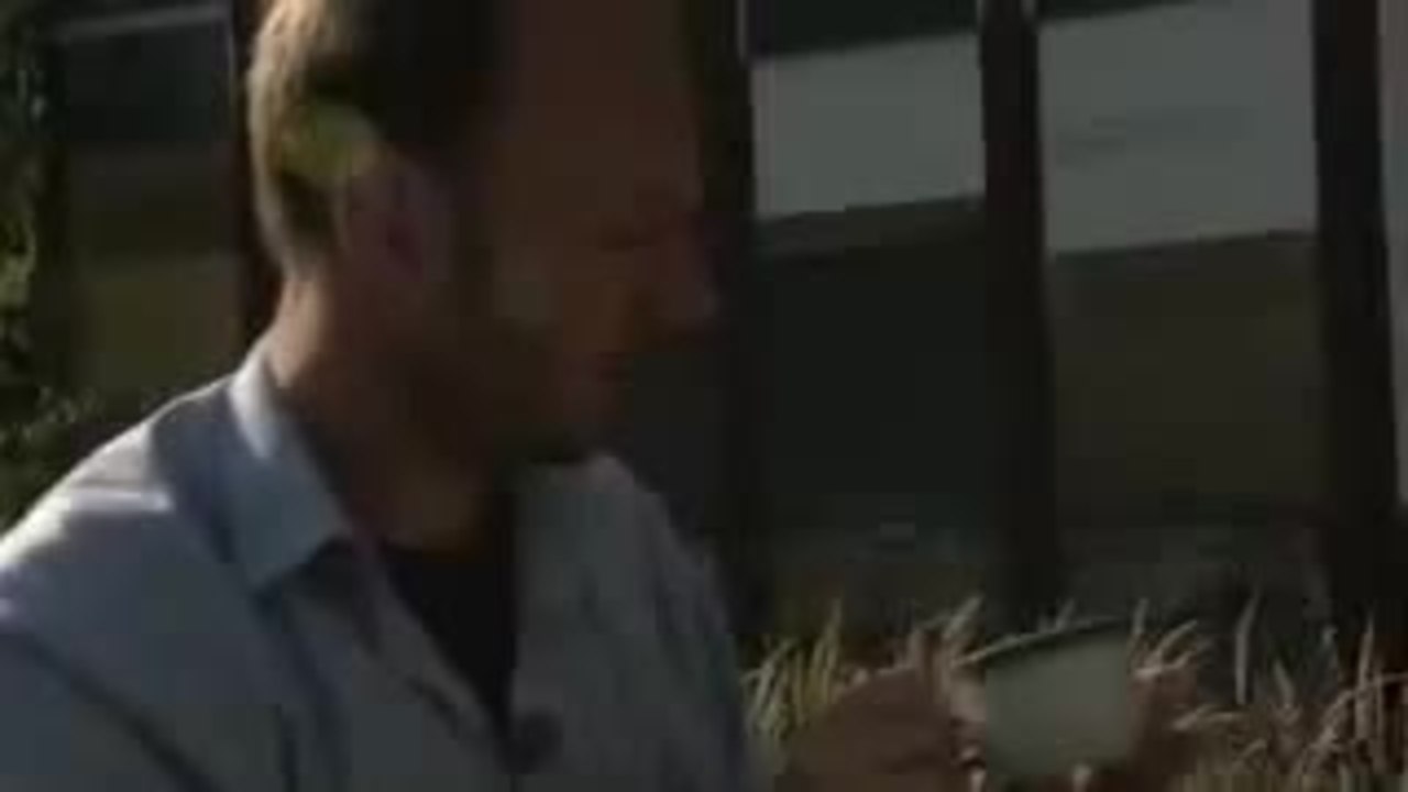 Heimatkunde Trailer