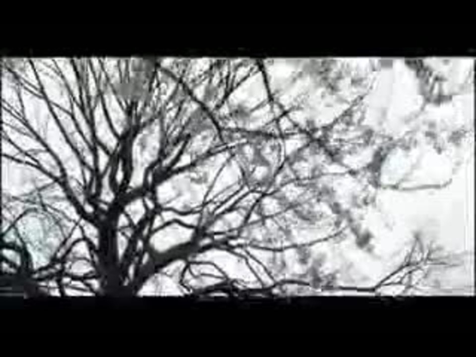 It runs in the family