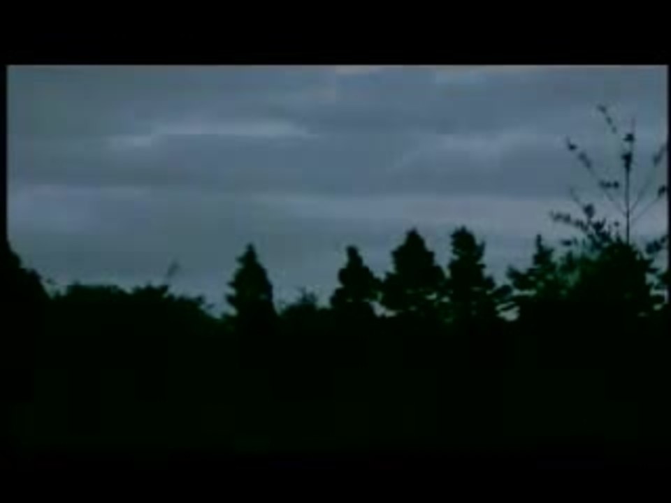 Forest of the Damned Trailer