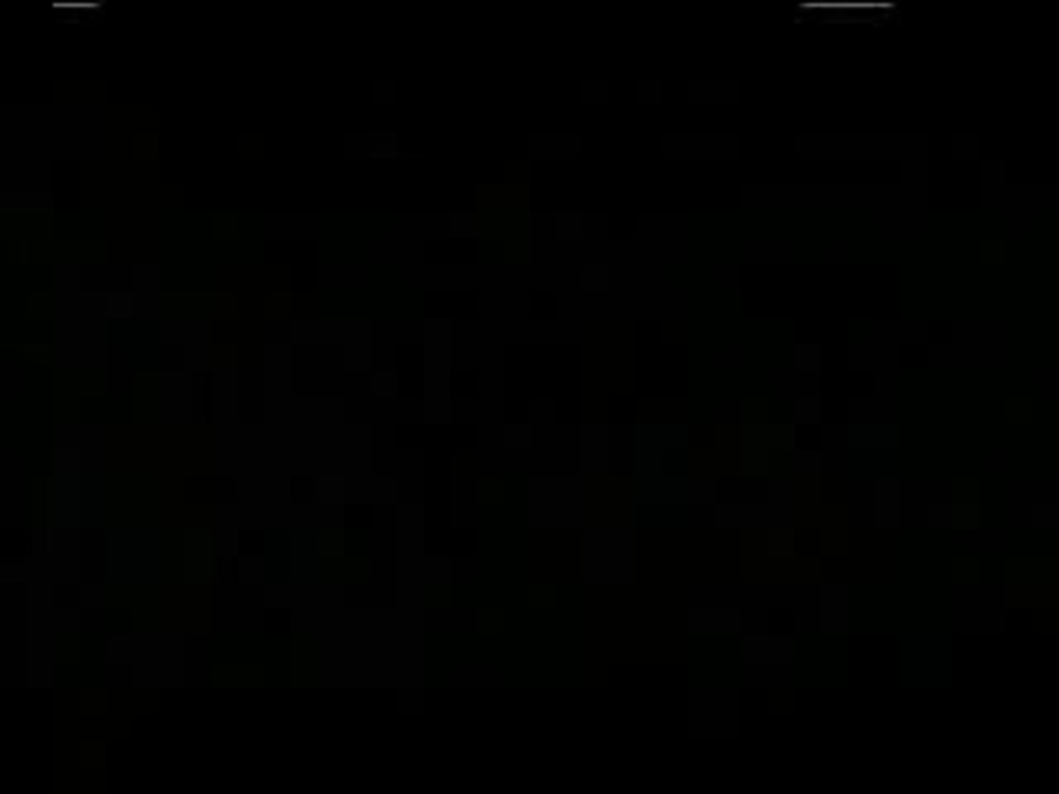 Merlin's Apprentice (NL)