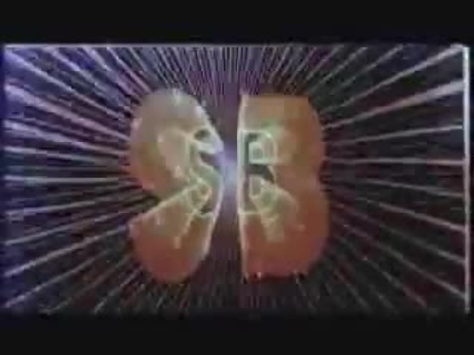 Disciples of the 36th Chamber Shaw Bros Hong Kong Trailer