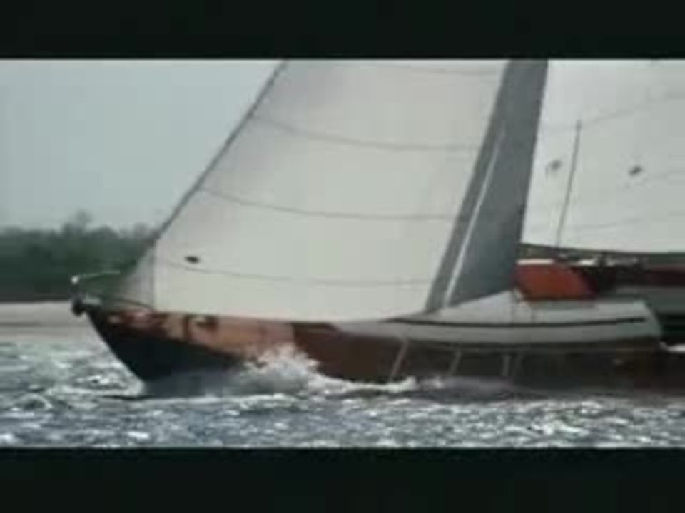 Domestic Disturbance Trailer