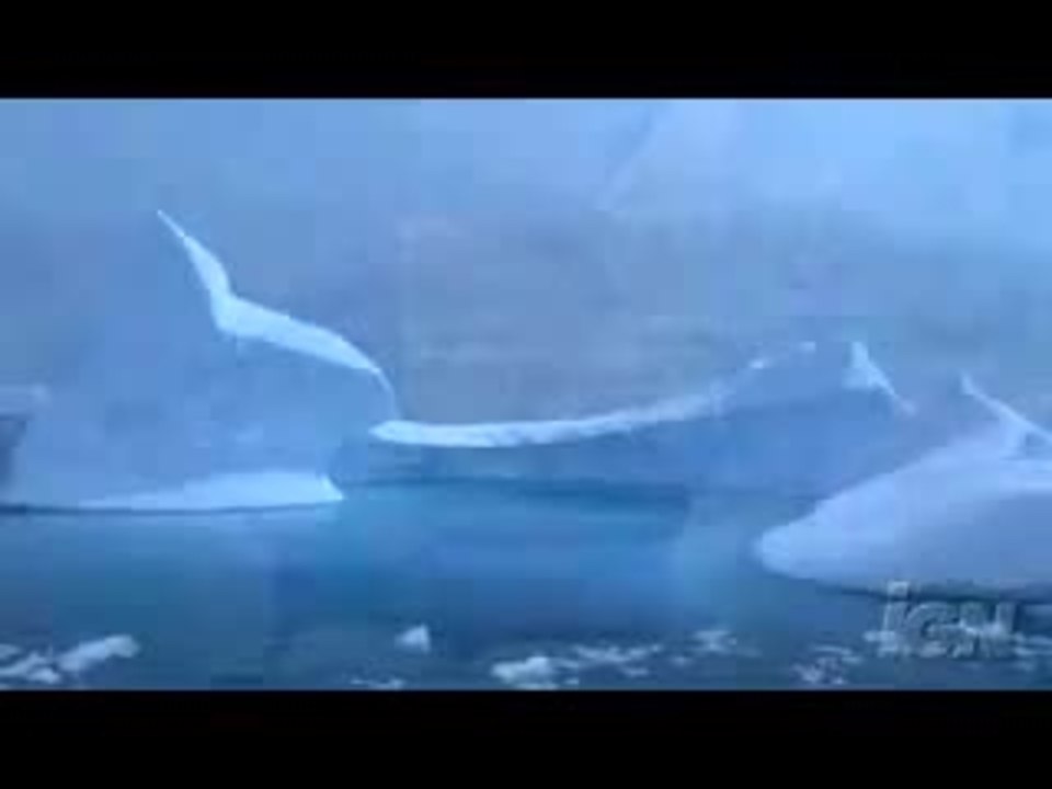 Farce of the Penguins Trailer