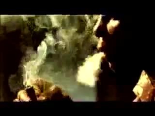 Trailer Perro Come Perro