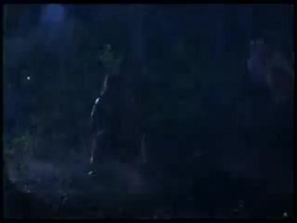 Forest Warrior