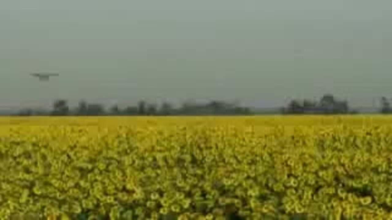 'Unser tÃ¤glich Brot' - Movie Trailer