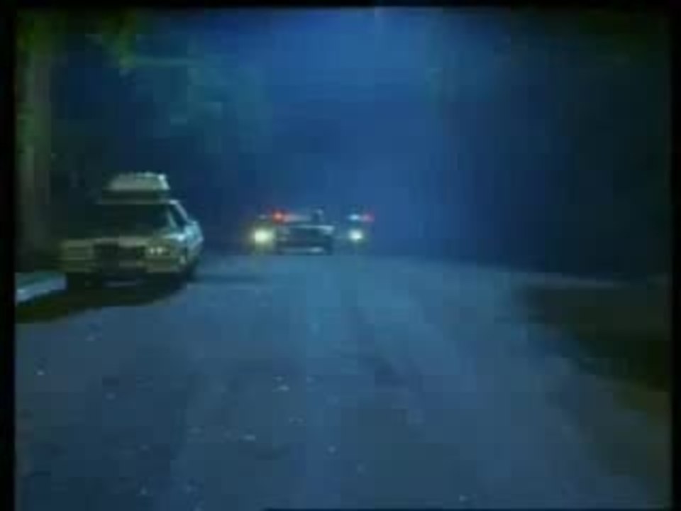 Top Dog trailer (Chuck Norris)