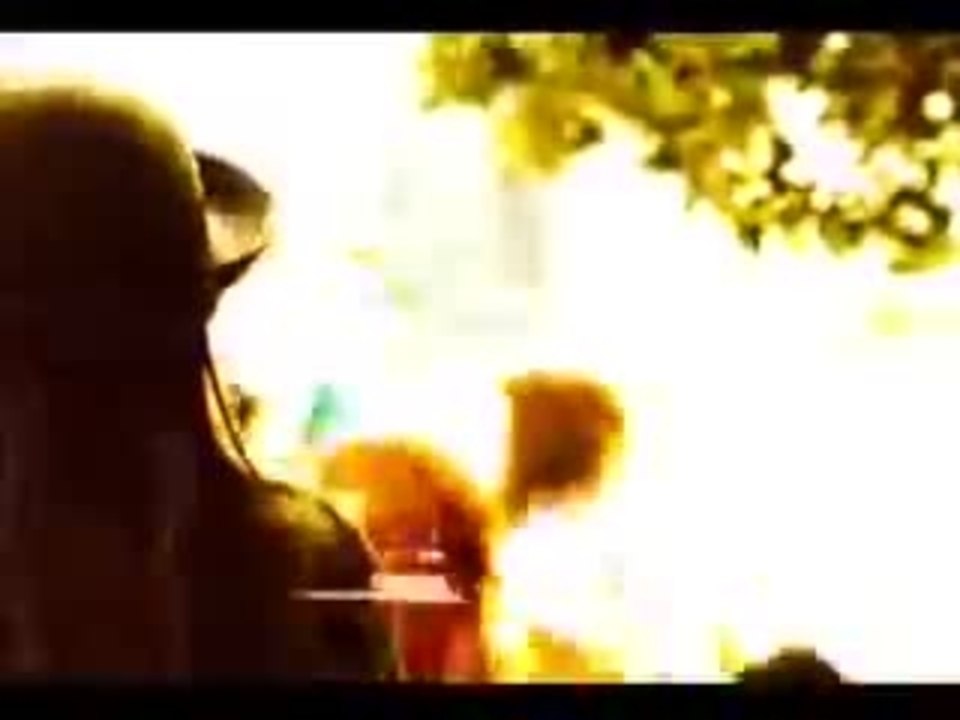 Domino Trailer