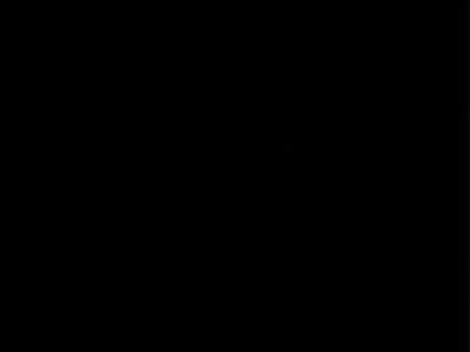 Italian for beginners, Italiensk for begyndere