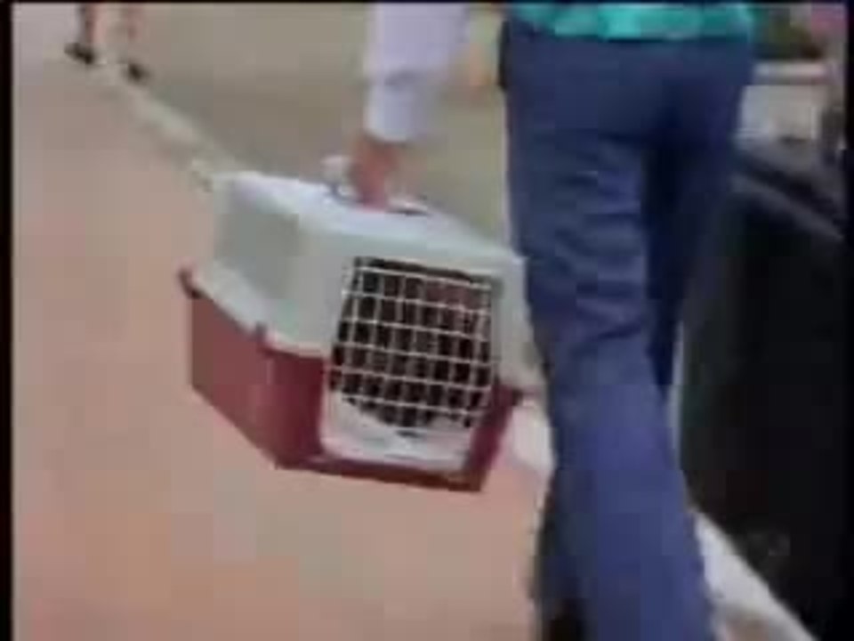 Sabrina Down Under clip - Remi Broadway