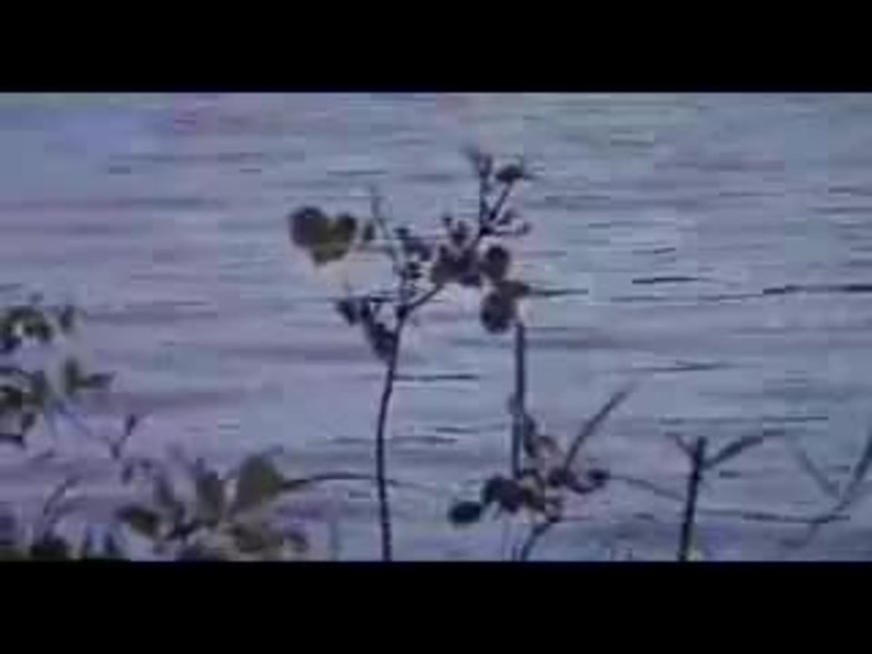 Tom Sawyers Abenteuer (1973) (E) - video Dailymotion