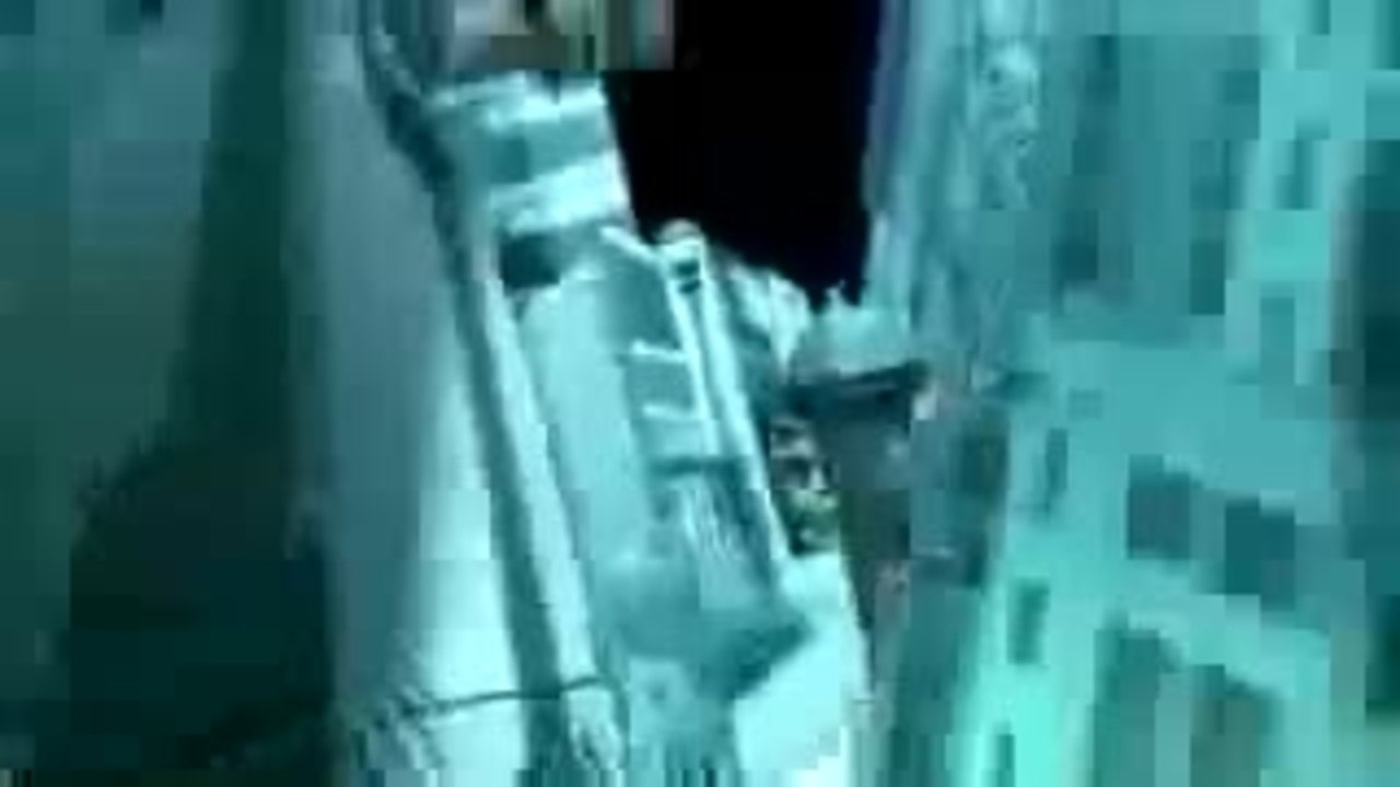 Follow That Dream - Original Trailer 1962