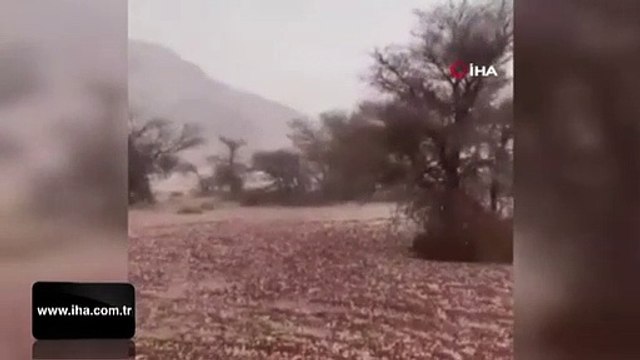 Çöl ikliminin hakim olduğu Suudi Arabistan'da kar yağdı