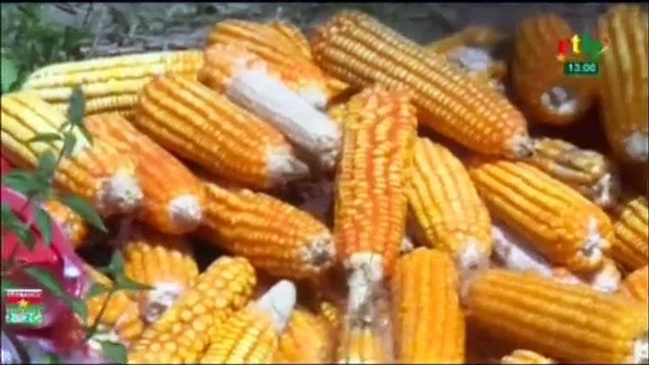RTB - Campagne agricole : la moisson est bonne