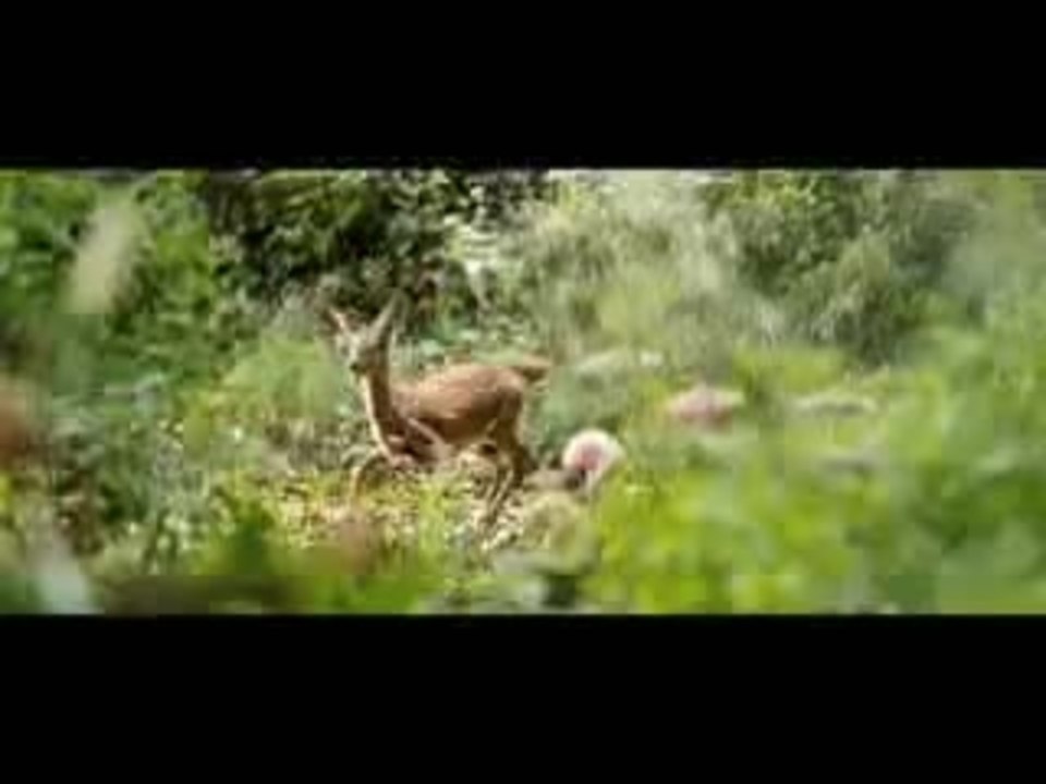 Kika Superbruja y el libro de hechizos - TrÃ¡iler espaÃ±ol