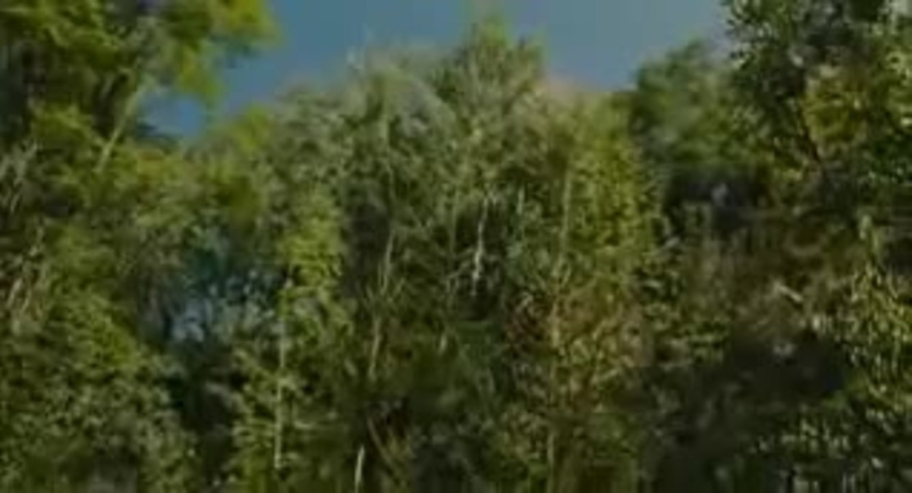 Hexe Lilli - Der Drache und das magische Buch - Trailer