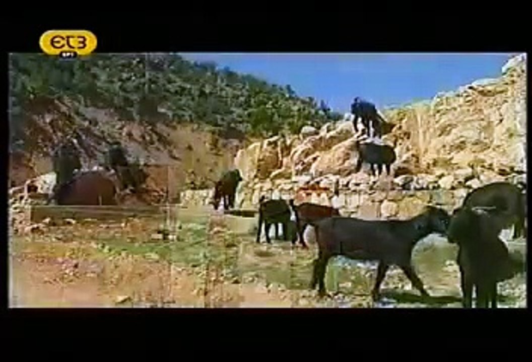 10 Νοεμβρίου: Όσιος Αρσένιος ο Καππαδόκης