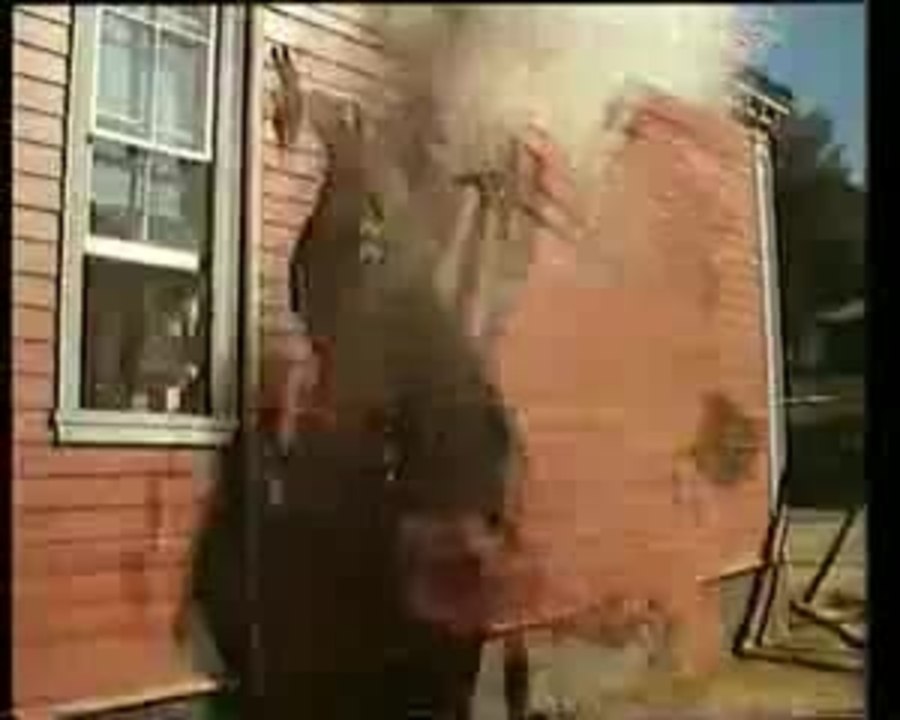 Pete's Dragon - Video Trailer