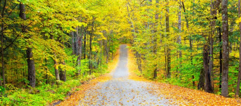 Vermont Urges Residents to Stay Home for the Holidays As U.S. Sees Record Uptick in COVID-