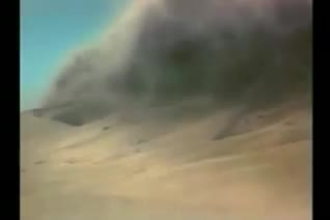 Dinosaurs Alive! Trailer