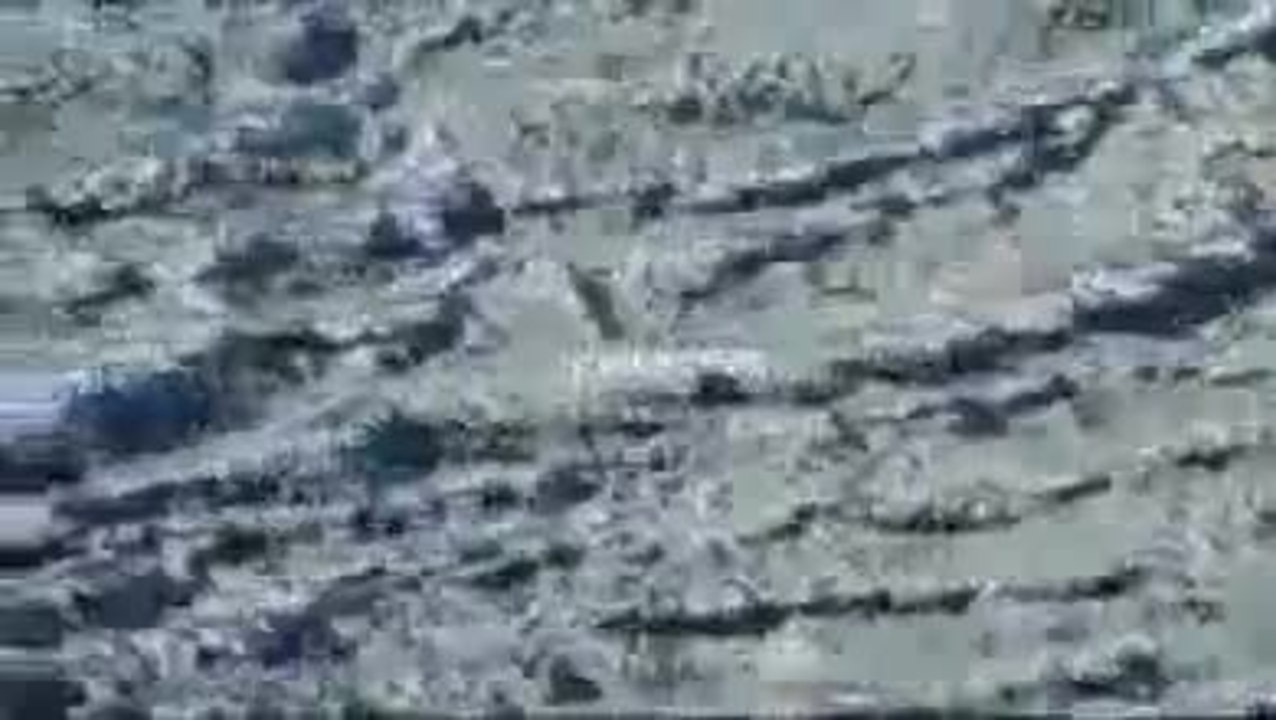 THE LAST GIANTS -- Wenn das Meer stirbt  TrA