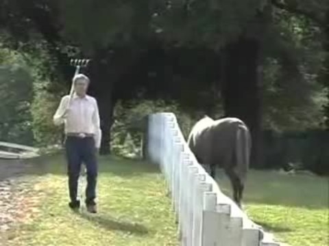 Will Ferrell als George W. Bush