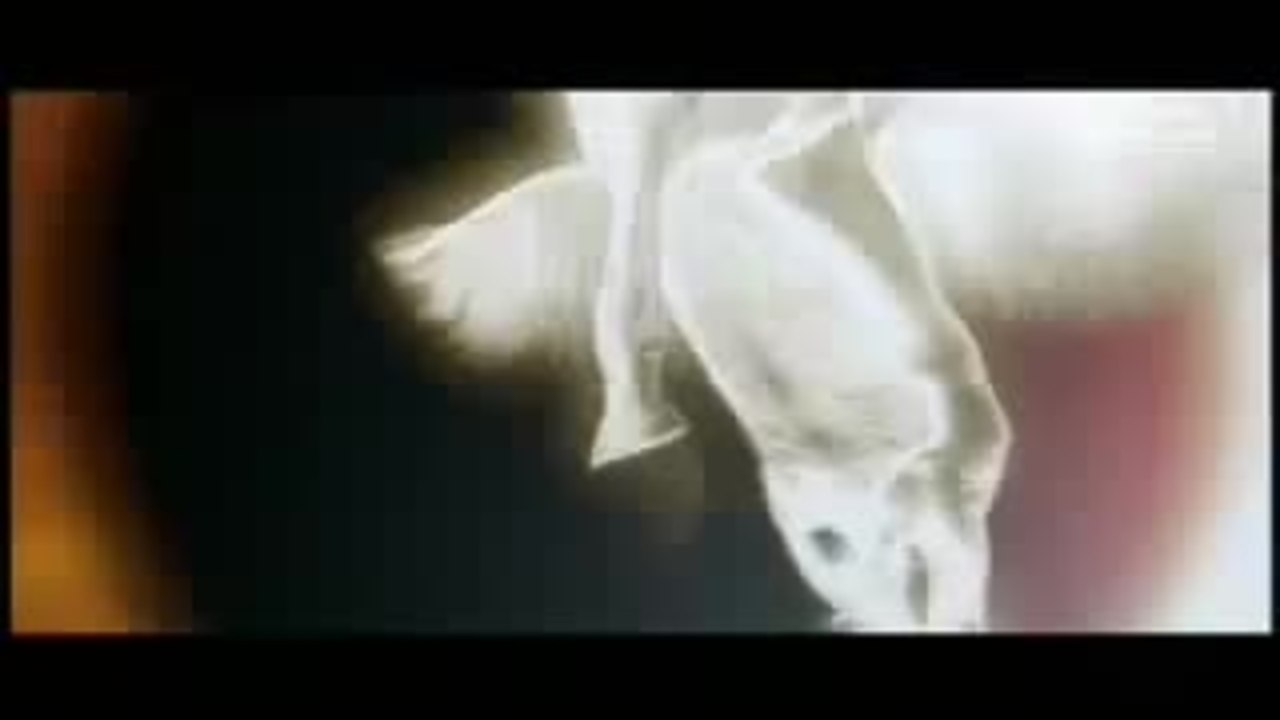 Un Enfant Pas Comme Les Autres (Martian Child) - bande annonce FR