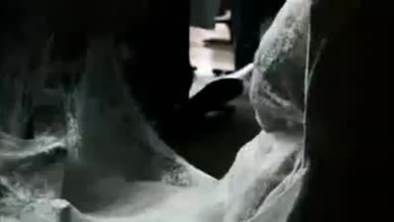 Infestation (2009) Trailer