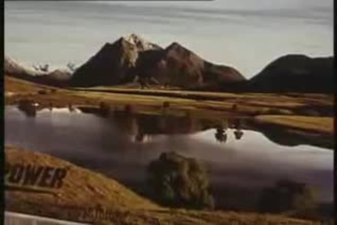 ONCE WERE WARRIORS - HQ Trailer ( 1994 )