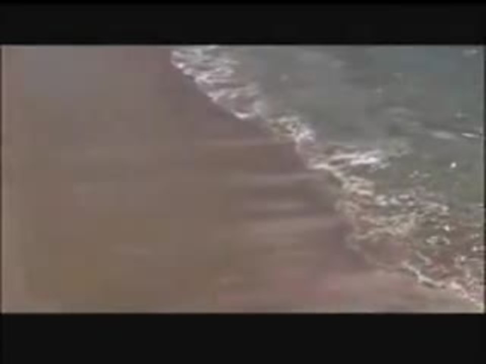 SHARK SWARM - Trailer