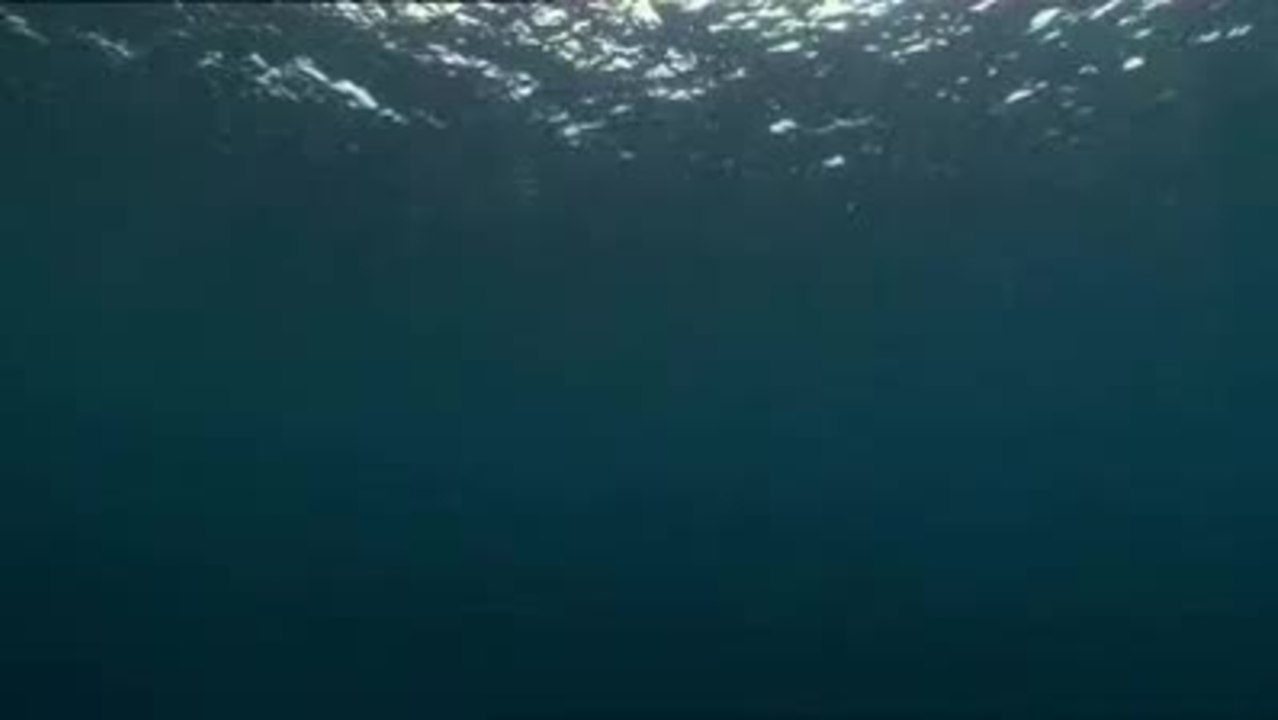 THE LAST GIANTS -- Wenn das Meer stirbt  TrB