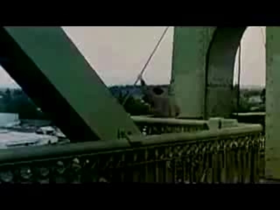 Das GlÃ¼cksprinzip (D)