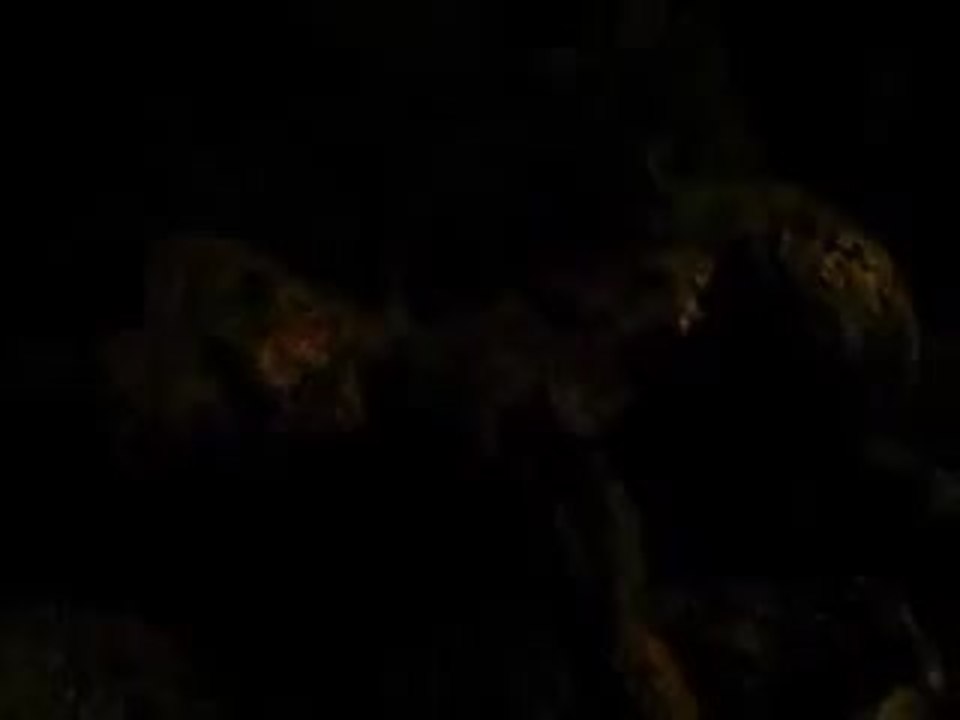 Malefique - the Beginning