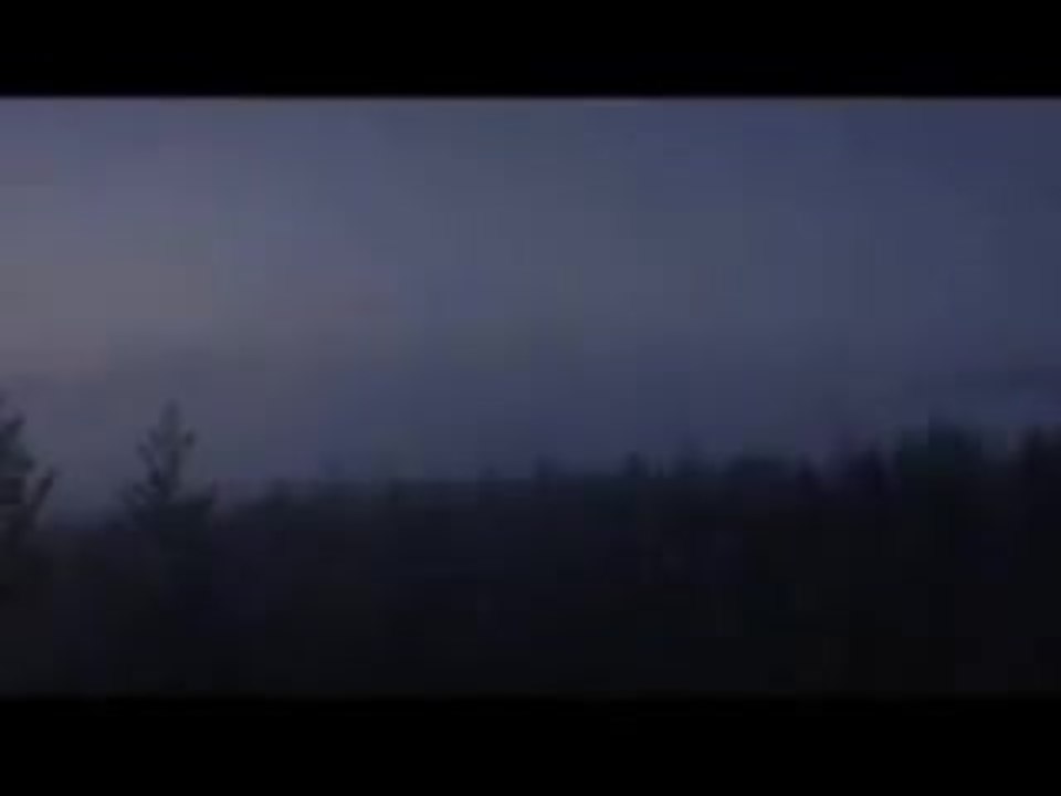 Severed: Forest of the Dead