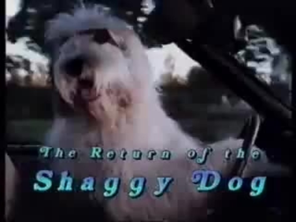 Return of the Shaggy Dog on DVD