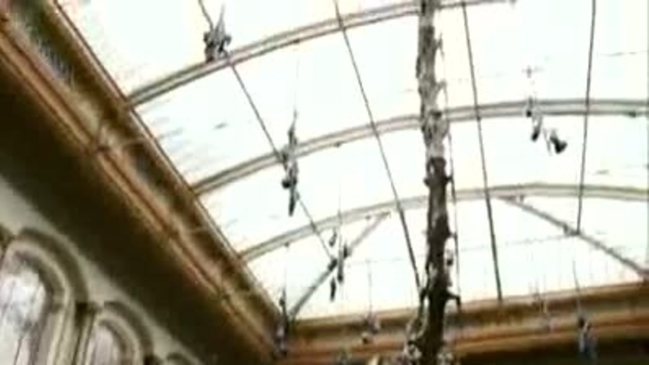 Dinosaurier - Gegen uns seht ihr alle alt aus - Trailer