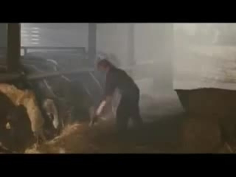 Das groÃŸe Rennen - Trailer in HQ