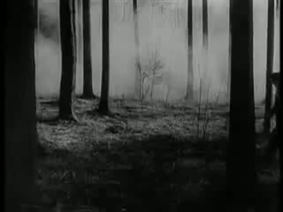 Es geschah am hellichten Tag Trailer