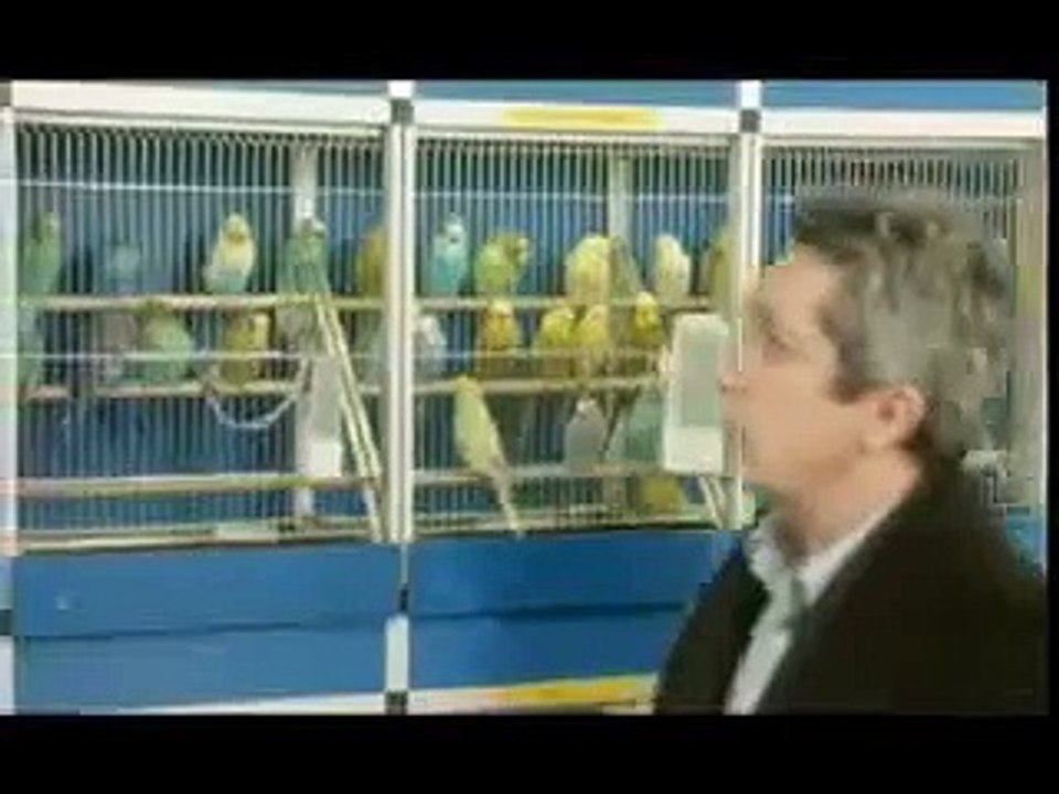 TrÃ©sor - bande annonce FR