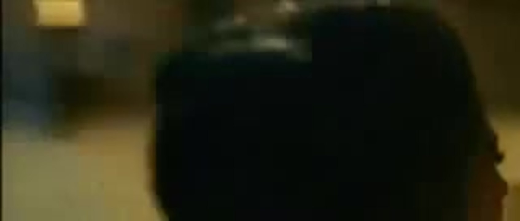 Vampire gegen Herakles