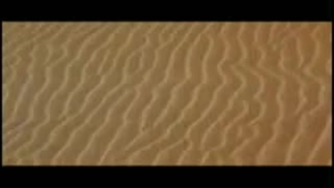 Shogun Assassin trailer