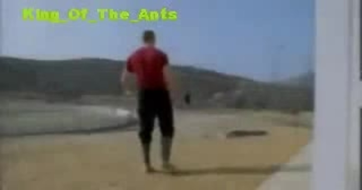 King Of The Ants