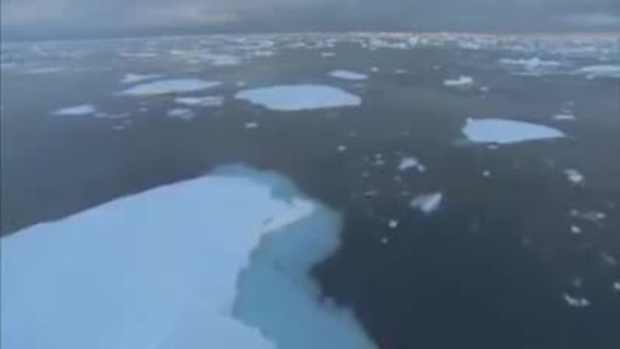 Jagdzeit - den WalfÃ¤ngern auf der Spur  TRAILER HD