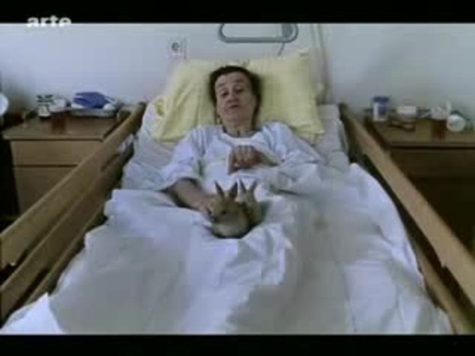 Tierische Liebe - Ausschnitt