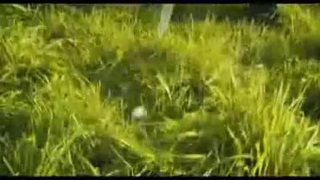 Tag am Meer - Trailer