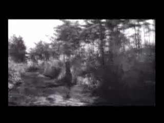 Hidden Fortress Sneak Preview