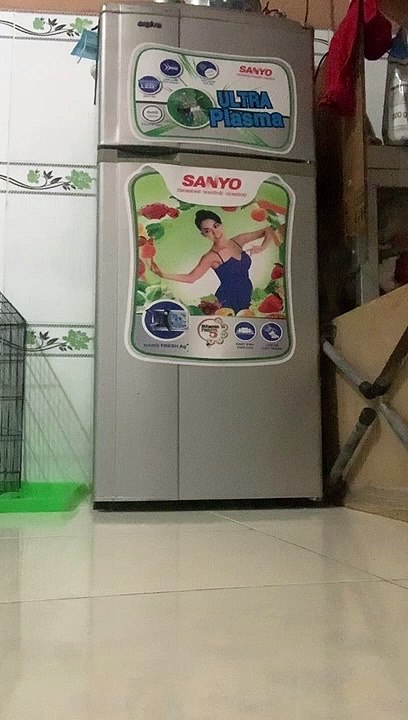 Puppy Cools Off on Fridge Shelf on Hot Days