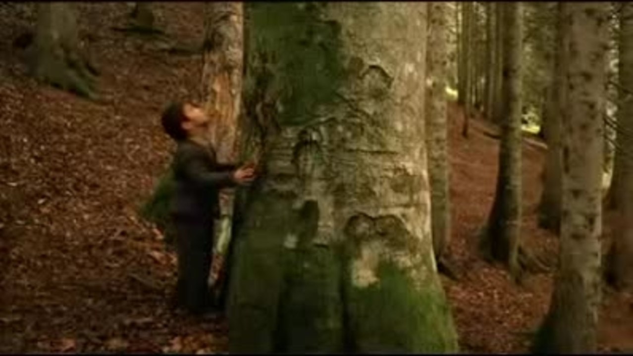 Trailer - Bal 2010 - Honey (Germany) (festival title)