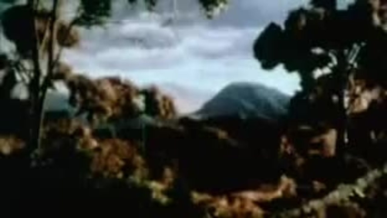 The Deadly Spawn (1983) trailer